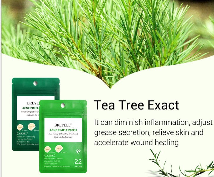 Tea Tree Acne Patches – Ultra-Thin, Scar-Fading & Fast-Healing Spot Treatment