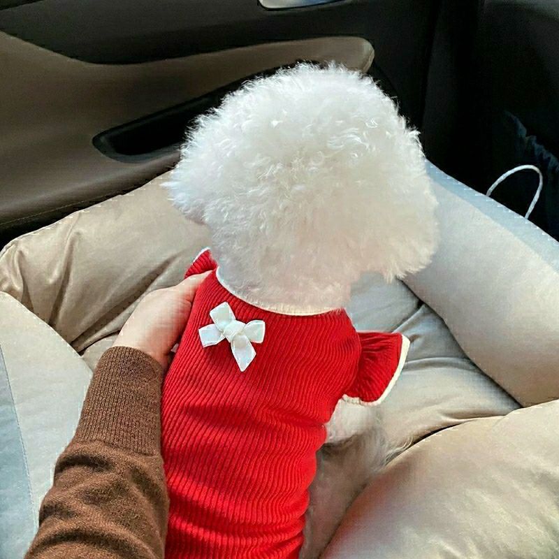 ✨ Irresistible Summer Pet Outfit – Breathable Clothes for Cats & Small Dogs ✨
