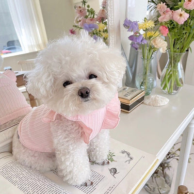 ✨ Irresistible Summer Pet Outfit – Breathable Clothes for Cats & Small Dogs ✨
